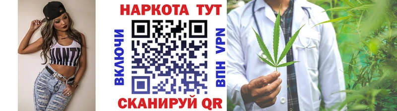 A PVP Моздок