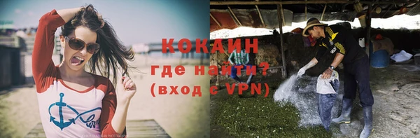 индика Бронницы