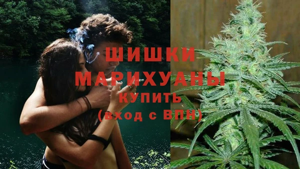 индика Богородицк