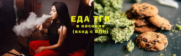 индика Богородицк