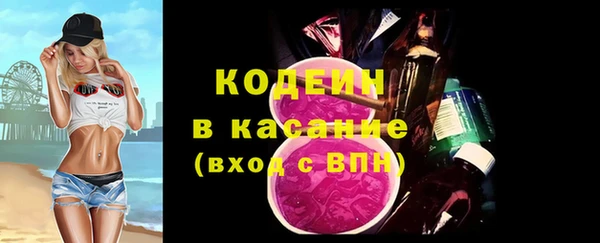 индика Богородицк
