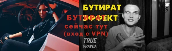 индика Богородицк