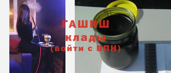 индика Богородицк
