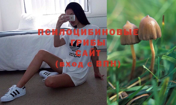 винт Бородино