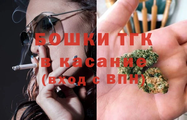 индика Бронницы