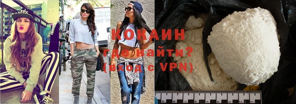 индика Бронницы