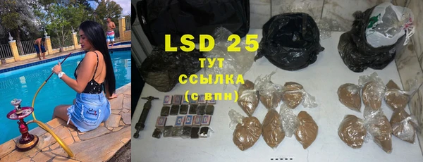 индика Бронницы