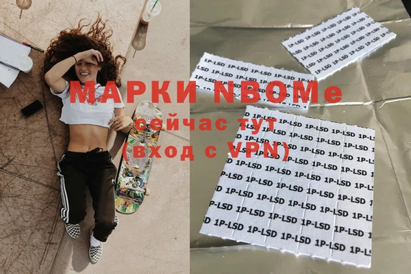 индика Бронницы